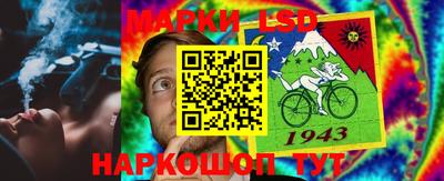 прущие грибы Новодвинск
