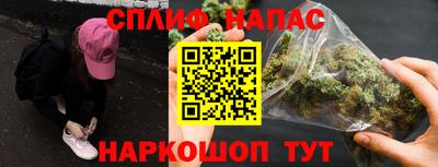 прущие грибы Новодвинск