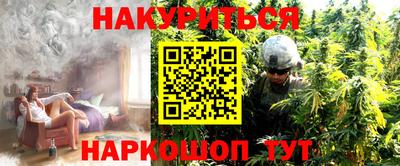 прущие грибы Новодвинск