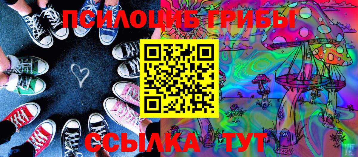 Псилоцибиновые грибы мухоморы Ставрополь