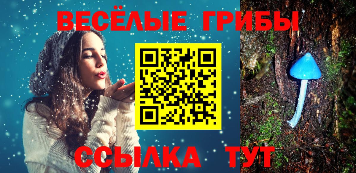Галлюциногенные грибы ЛСД  Вход с VPN  Галлюциногенные грибы прущие грибы  Ставрополь 